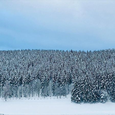 Appartement Familie Willems Winterberg Am Waltenberg Zewnętrze zdjęcie